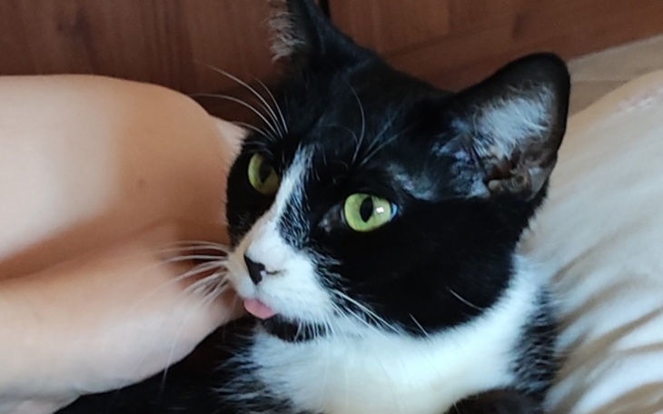 Zbiórka Pomoc dla Józinki - zdjęcie główne