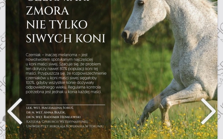 Artykuł o czerniaku u koni, ważne informacje.