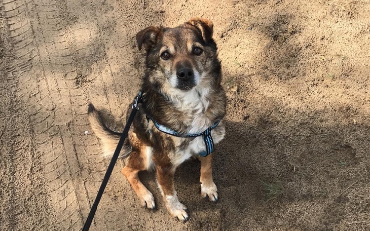 Zbiórka Zbiórka na leczenie Antka - zdjęcie główne