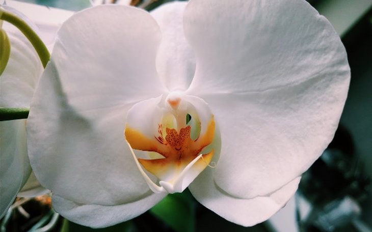 Zbiórka Testowa zbiórka. - zdjęcie główne