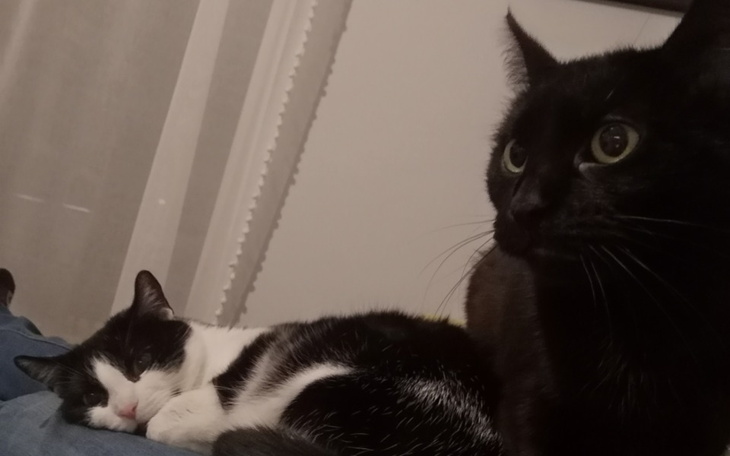 Zbiórka Melania - kolejna walka o życie - zdjęcie główne