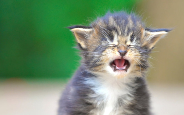 Zbiórka Na otarcie łez - zdjęcie główne