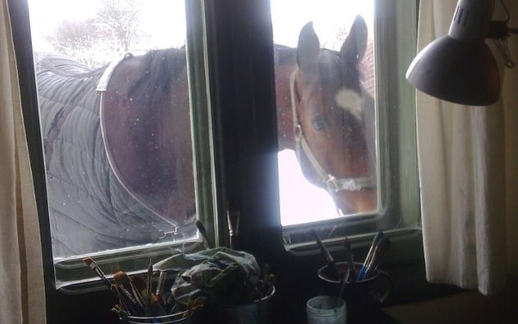 Zbiórka Przed nami cała zima... - zdjęcie główne