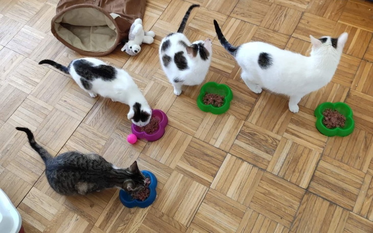 Zbiórka Marzec w Malinowym Zdroju - zdjęcie główne