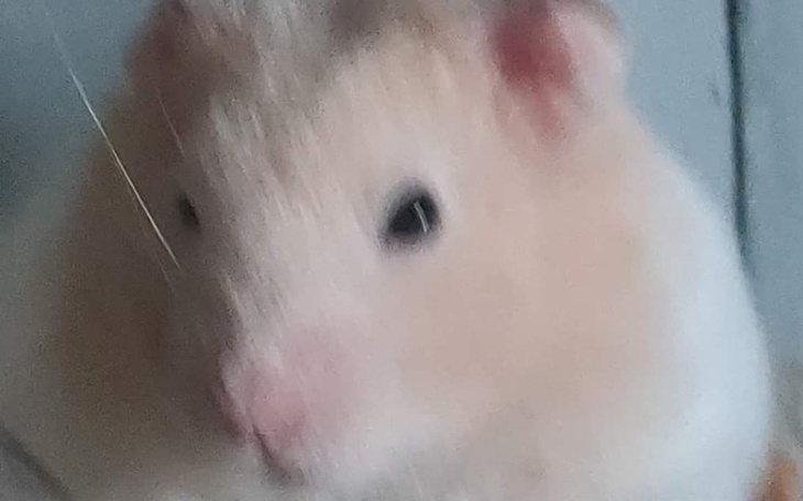 Zbiórka Zbieram na prawojazdy i na zycie - zdjęcie główne