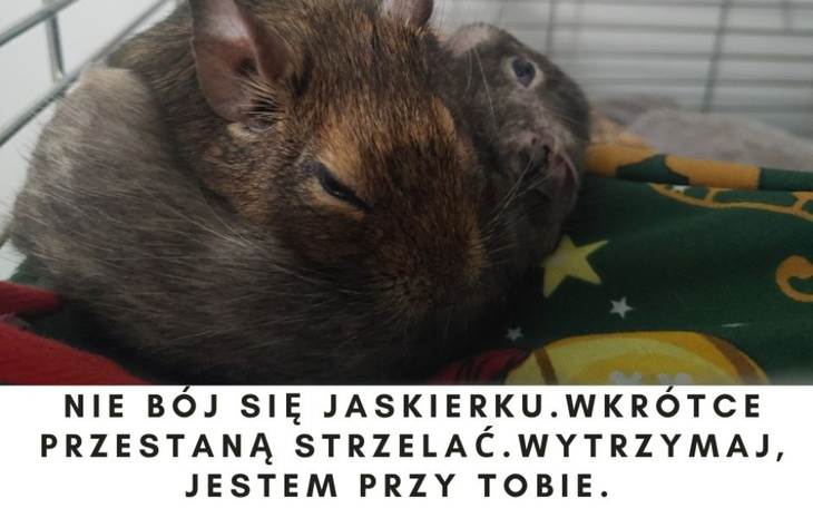 Zbiórka Strach czy radość Masz wybór. - zdjęcie główne