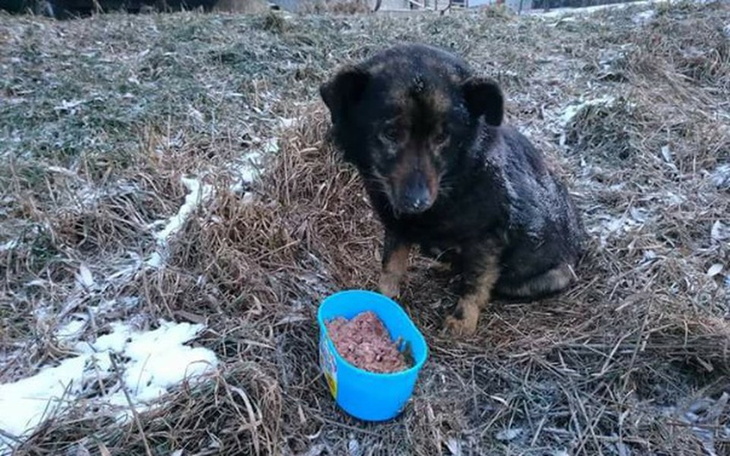 Zbiórka Staruszek nie ma na hotel ! - zdjęcie główne