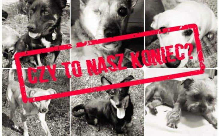 Zbiórka Czy to nasz koniec - zdjęcie główne