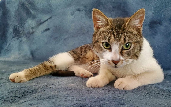 Zbiórka Zdrówko Bumbuma - zdjęcie główne