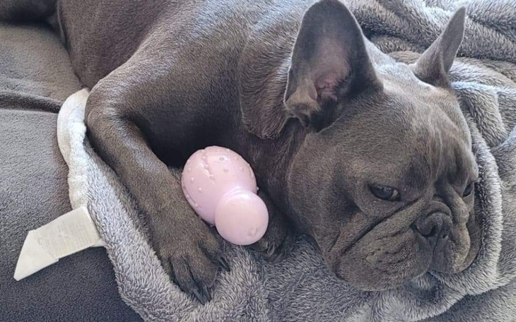 Zbiórka Operacja ratująca Tobiego - zdjęcie główne