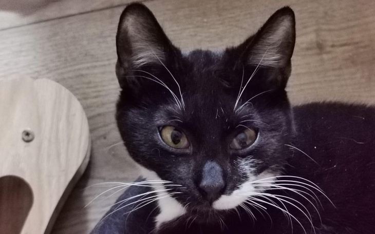 Zbiórka Kola umiera na naszych oczach - zdjęcie główne