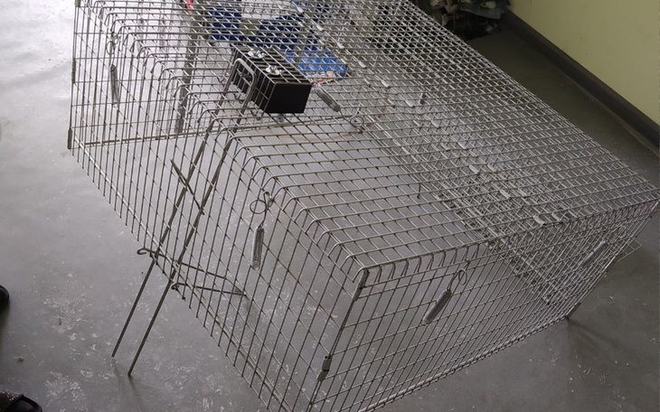 Metalowa klatka, używana do transportu zwierząt.