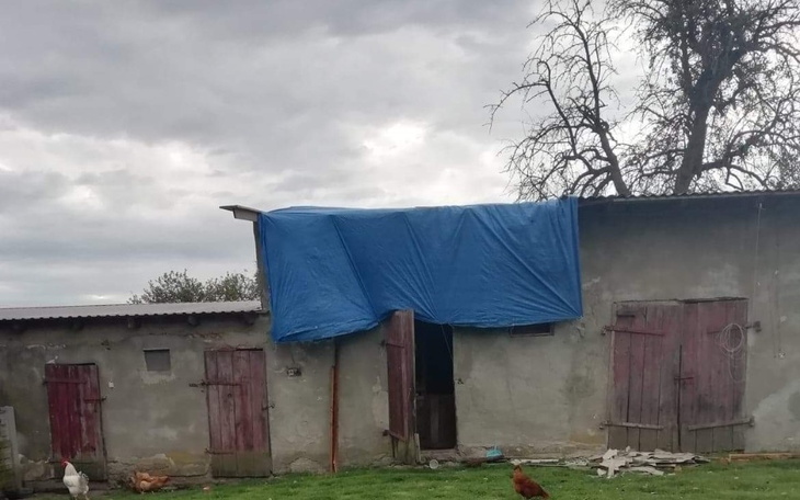 Zbiórka Naprawa dachu dla babci - zdjęcie główne