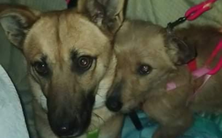 Zbiórka Zimno Ból Samotność - zdjęcie główne