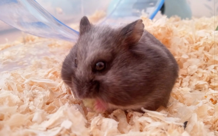 Zbiórka Czerwiec, lipiec, sierpień - zdjęcie główne