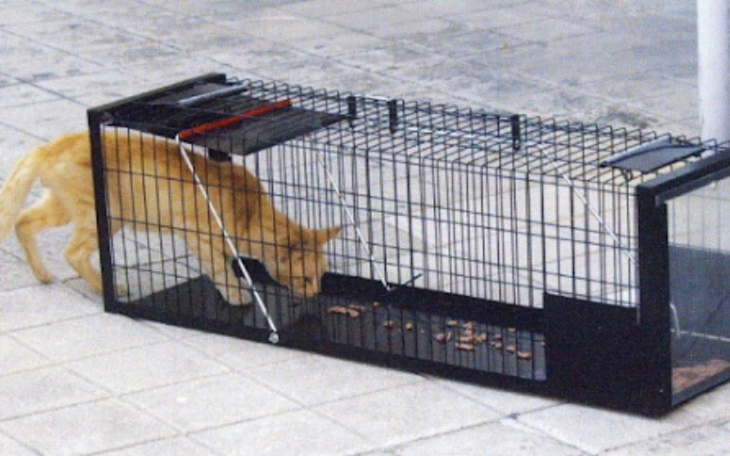 Zbiórka Klatka łapka składana varimex - zdjęcie główne