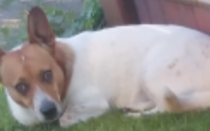 Zbiórka Na new Komputer - zdjęcie główne