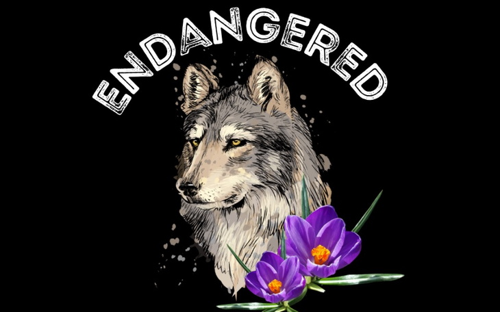 Zbiórka Zbiórka na projekt Endangered - zdjęcie główne