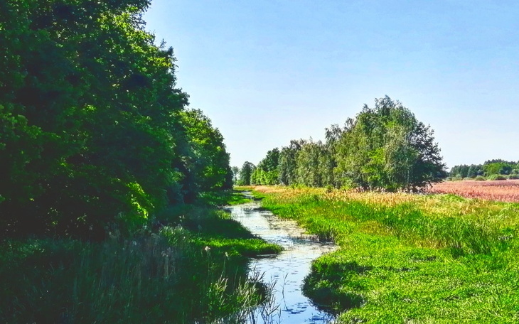 Zbiórka Zbieram na ps 4 - zdjęcie główne