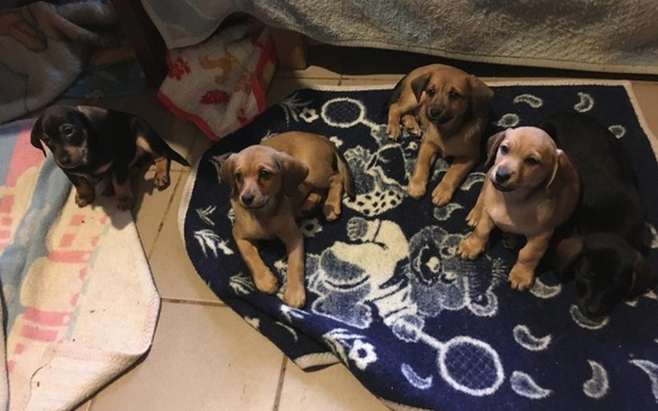 Zbiórka Prąd w Harbutowicach i marzenie - zdjęcie główne