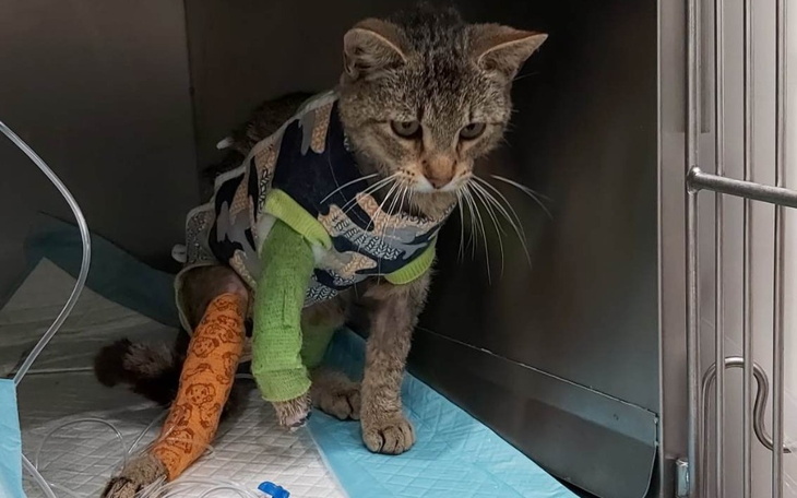 Zbiórka Powypadkowa znajda - zdjęcie główne