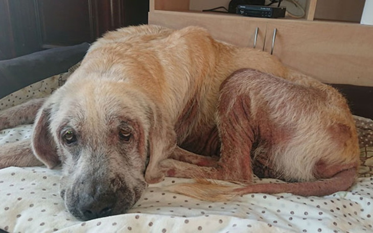 Zbiórka Cierpienie niejedno ma imię - zdjęcie główne