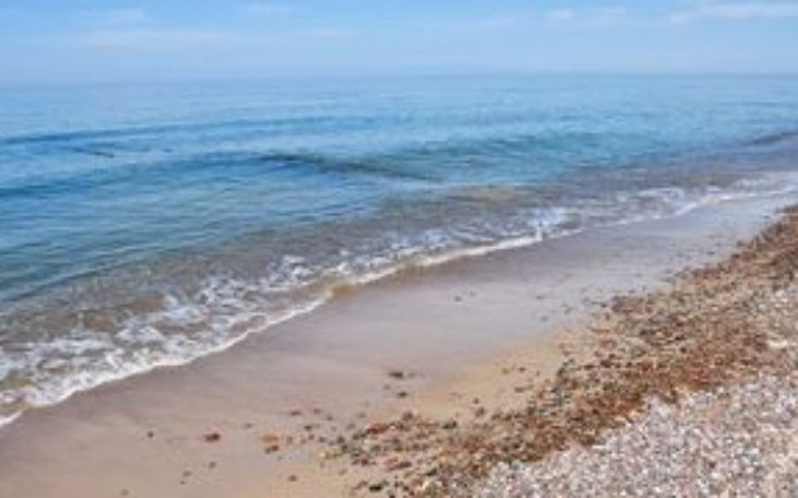 Zbiórka Moje pierwsze wakacje nad morzem - zdjęcie główne