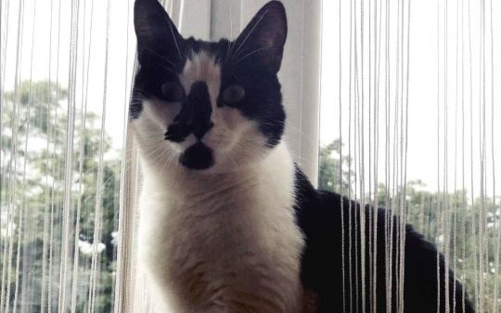 Zbiórka Pobranie wycinków do badania - zdjęcie główne