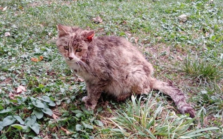 Zbiórka Transport do Rypina - zdjęcie główne