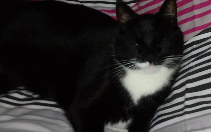 Zbiórka Pomoc dla rencistki - zdjęcie główne