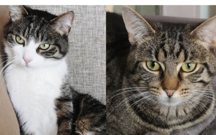 Zbiórka Marek i Igor walczą o zdrowie - zdjęcie główne