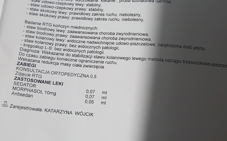 Zbiórka Operacja mojego psiego przyjacie - zdjęcie główne