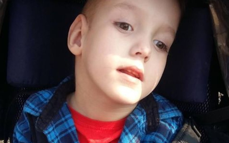 Zbiórka dla jasia szopy na leczenie - zdjęcie główne