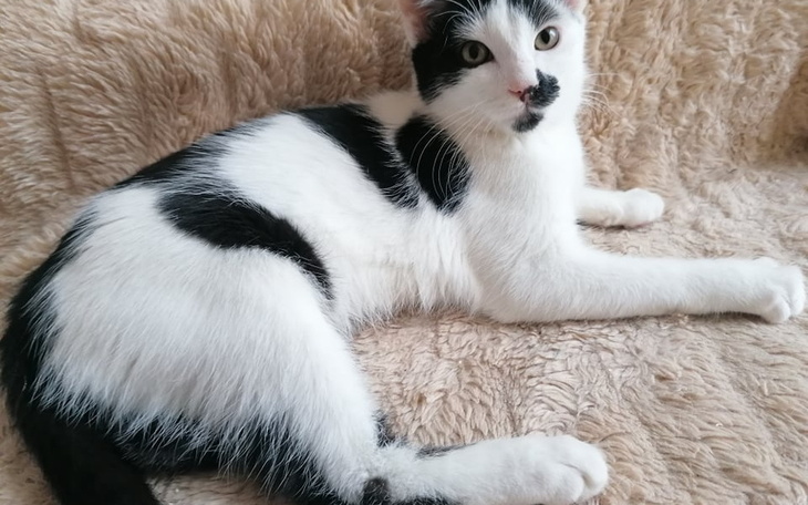 Zbiórka Na jedzenie. Błagamy o pomoc - zdjęcie główne