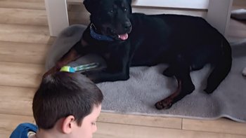 Zbiórka Dwaj przyjaciele Adi i Mike - miniaturka zdjęcia