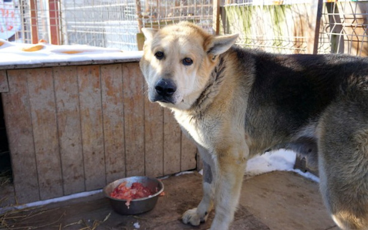 Zbiórka Szansa Barego na nowe życie - zdjęcie główne