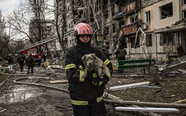 Strażak trzymający psa w zniszczonym otoczeniu.