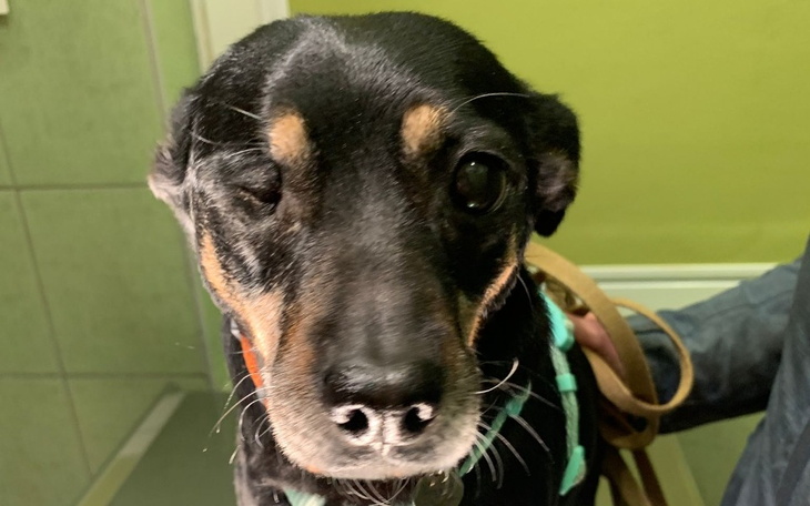 Zbiórka walka z tym co zabija Łodeczkę - zdjęcie główne