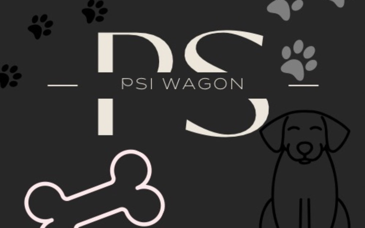 Zbiórka Pomoc Schronisku w szczecinie - zdjęcie główne