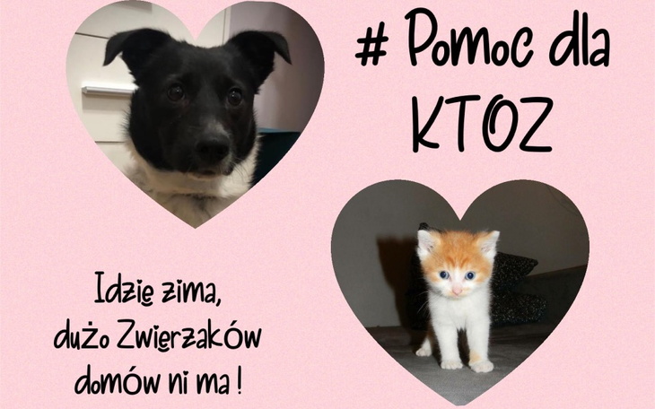 Zbiórka Pomoc dla KTOZ - zdjęcie główne