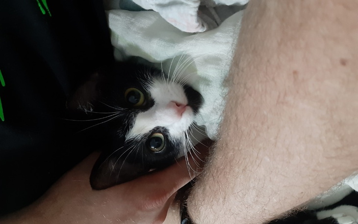 Zbiórka Benia z Fip - zdjęcie główne