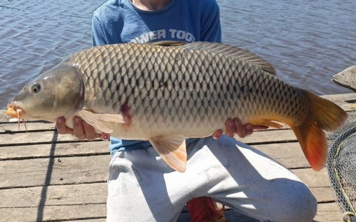 Zbiórka Zbieram na nowy sprzęt wedkarsi - zdjęcie główne