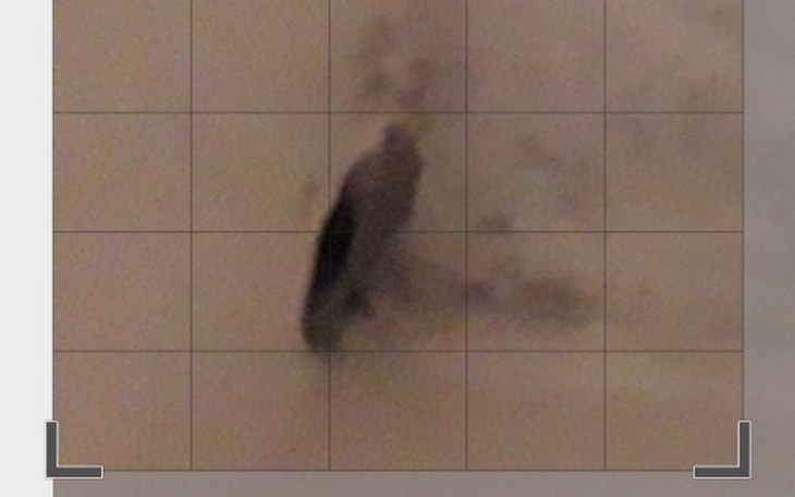 Zbiórka Zbieram  aby wyremontować dom. - zdjęcie główne