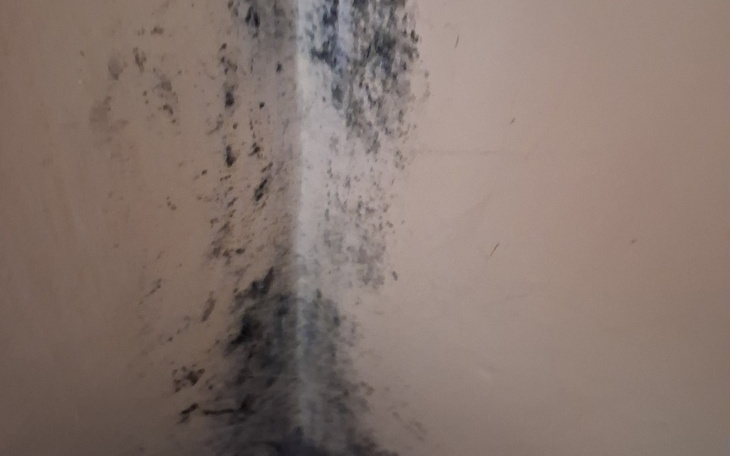 Zbliżenie na zanieczyszczoną ścianę z pleśnią.