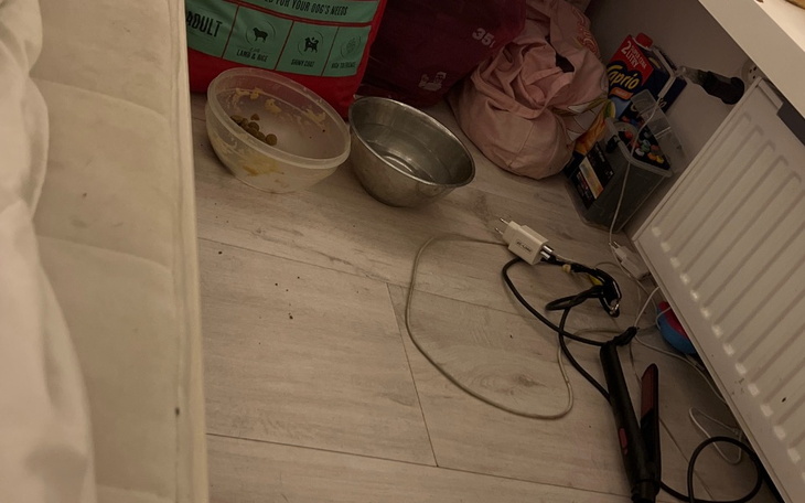 Zabałaganione pomieszczenie z miskami dla zwierząt.