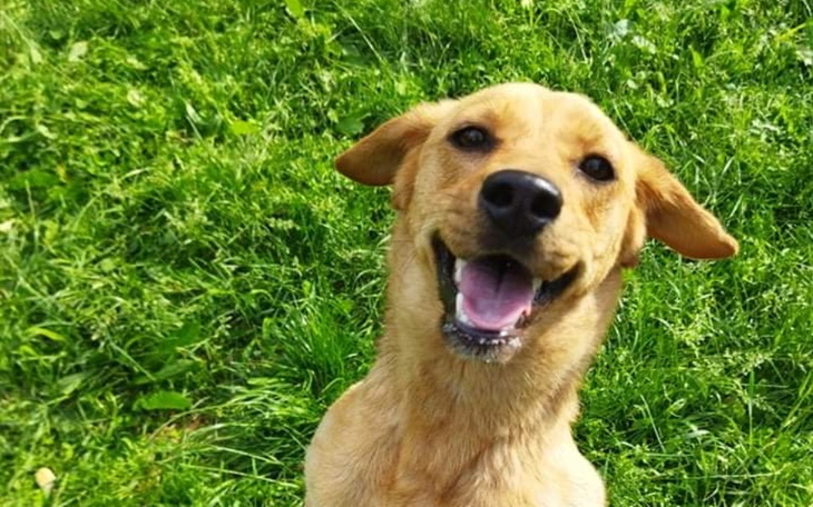 Zbiórka Na utrzymanie fundacji - zdjęcie główne