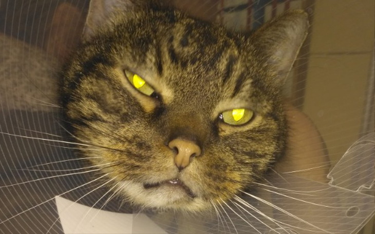 Zbiórka Na ratowanie życia Julka - zdjęcie główne