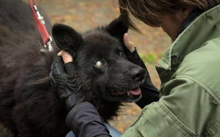 Zbiórka MAMY SZANSĘ Go URATOWAĆ - zdjęcie główne