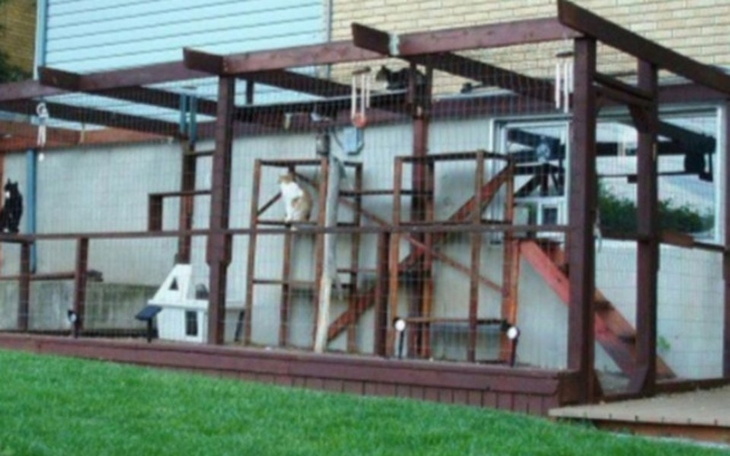 Zbiórka Dom przejściowy dla kotów - zdjęcie główne