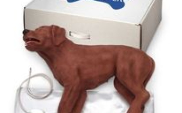 Zbiórka Fantom psa - zdjęcie główne